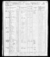 1860 US Census (Western Division, Walker, Alabama)