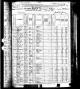 1880 US Census (Walker County, Alabama)