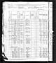 1880 US Census (La Fayette, Tippecanoe, Indiana)