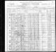 1900 US Census (Stafford Fork, Martin, Kentucky)