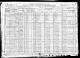 1920 US Census (Troy, Bradford, Pennsylvania)