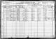 1920 US Census (Cordova, Walker, Alabama)