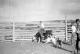 Montana ---- 10  Paul riding cow-BW.jpg